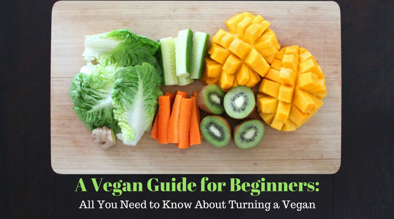 VeganovTrichy.com: A Complete Beginner’s Guide to Features, Benefits, and Best Practices